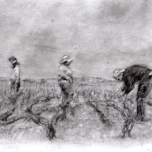 34- Pliage et Attachage 2