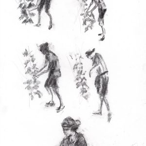 42- Relevage/Accolage 1