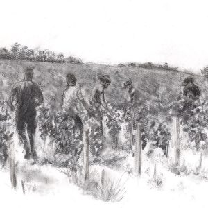 43- Relevage/Accolage 2