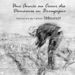 Le Livre - Une Année au Coeur des Domaines en Bourgogne