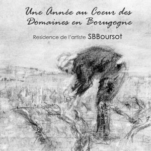 Le Livre - Une Année au Coeur des Domaines en Bourgogne